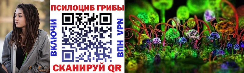 Галлюциногенные грибы Psilocybine cubensis  KRAKEN ссылка  Магас  как найти закладки 