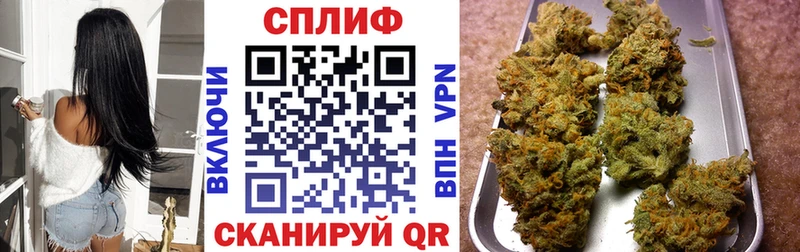 Бошки марихуана White Widow  сколько стоит  Магас 